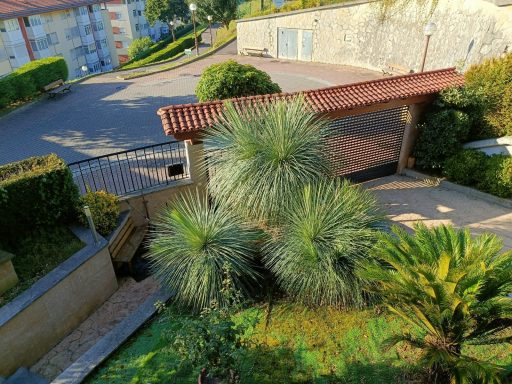 Vista de un jardín con plantas exóticas y una entrada a una casa.