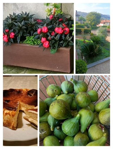 Flores en una maceta, un paisaje verde, higos frescos en una cesta y tarta en un plato.