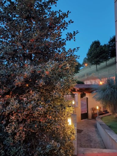 Entrada de una casa con iluminación cálida, rodeada de árboles y césped al atardecer.
