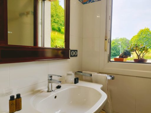 Baño luminoso con lavabo, espejo y plantas en la ventana.